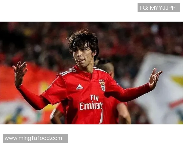 本菲卡青训领跑全球青训球员转会市场，5.7亿欧元收入揭秘球员培养体系与欧洲足坛黑店运营模式